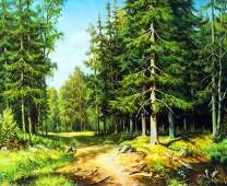 Тропа сквозь хвойный лес