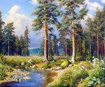 Река в сосновом лесу