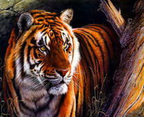 Большой тигр