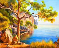 Сосна на обрыве у моря