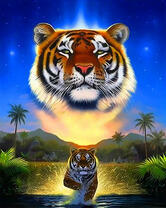 Тигр бежит по воде