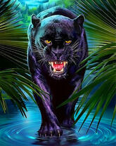 Оскал черной пантеры