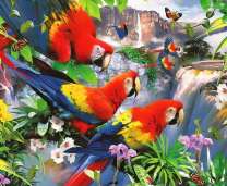 Попугаи над водопадом