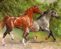 Две дикие лошадки