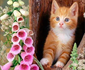 Купить рыжий котенок в дупле и цветы за 890 руб. в Москве