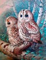 Две совы на ветке березы