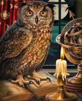 Сова на книге у свечи