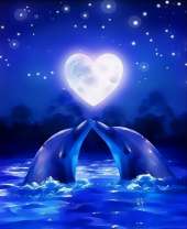 Влюбленные дельфины на фоне луны