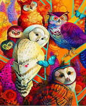 Разноцветные совы