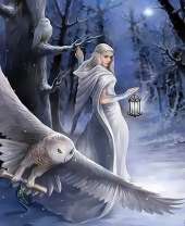 Очаровательная девушка в зимнем лесу с совами