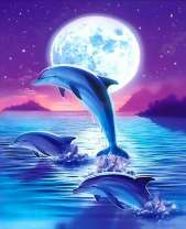 Стая дельфинов на фоне большой луны
