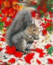 Белочка в осенних листьях