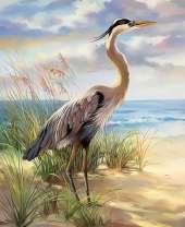 Журавль на берегу моря