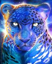 Ледяной леопард среди ночи