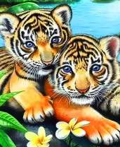 Два тигренка у воды