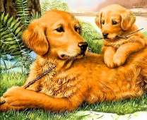 Собака и ее щенок с палками