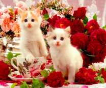 Котята среди красных и розовых роз