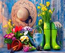 Садовые принадлежности и нарциссы с фиалками