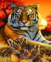 Тигрица и ее малыши на фоне африканского заката