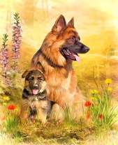 Овчарка и ее малыш на лугу