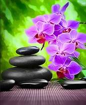 Сиреневая орхидея и камни
