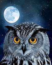 Филин на фоне полной луны