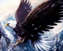 Белоголовый орёл на фоне леса зимнего