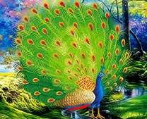 Павлин с ярким хвостом в лесу