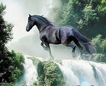 Чёрный скакун на вершине водопада