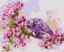 Фиолетовые совы на цветущей ветке