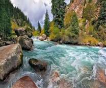 Речные пороги и летний лес