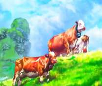 Три коровы на зелёном холме