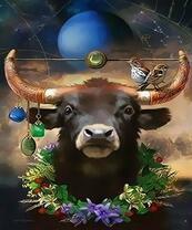 Бык, планета и птицы