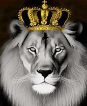 Красивый лев в золотой короне