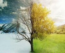 Зима и золотая осень на одной картине