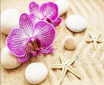 Две орхидеи на пляжном песочке