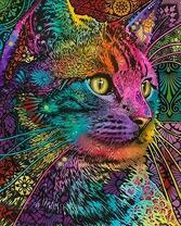 Котик в ярких узорах и цветах