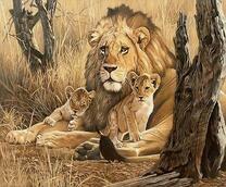 Лев и львята в сухой траве