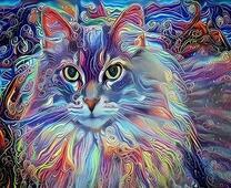 Пушистая кошечка в космических узорах