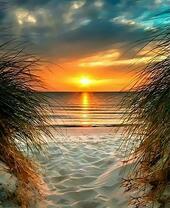 Солнечная дорожка на спокойном море