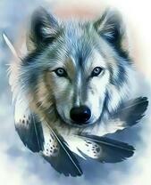 Белый волк и перья