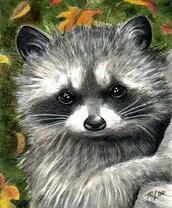 Маленький енотик в осенних листьях