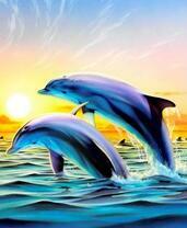 Игра дельфинов на фоне восходящего солнца