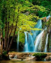 Водопад в ярком летнем лесу