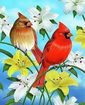 Два кардинала на цветущих лилиях