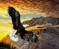 Орлан у скал