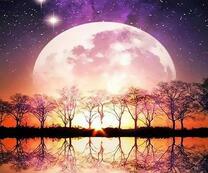 Деревья под полной луной