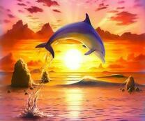 Дельфин у прибрежный скал на фоне солнца