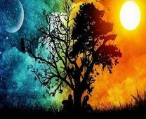 Мужчина - ночь и женщина - день под одним деревом