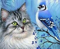 Синий кардинал и пушистая кошка